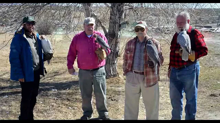 KEN STERNER MEMORIAL TRIBUTE