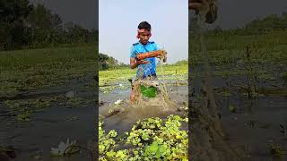 "Traditional Bamboo Fish Trap Technique #villagelife #fishing #shorts #viral