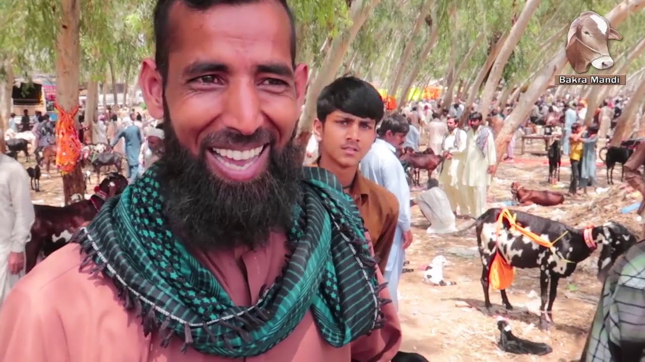 Sahiwal main AK bakri ka rate 10lakh rupay lagain Hai khud hisaab