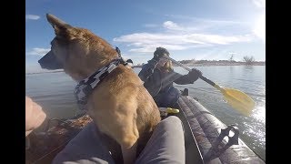 GoPro I Kaya's Island Fun