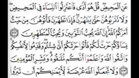 الشيخ اسامه جلال عامر سورة البقرة