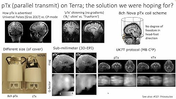 Renzo Huber: Layer-fMRI in lower brain structures: why is it so hard and what can we do about it?