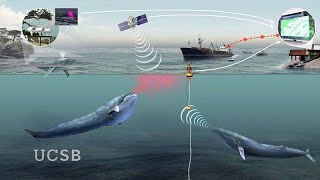Technology: Friend or Foe for the Future of our Oceans