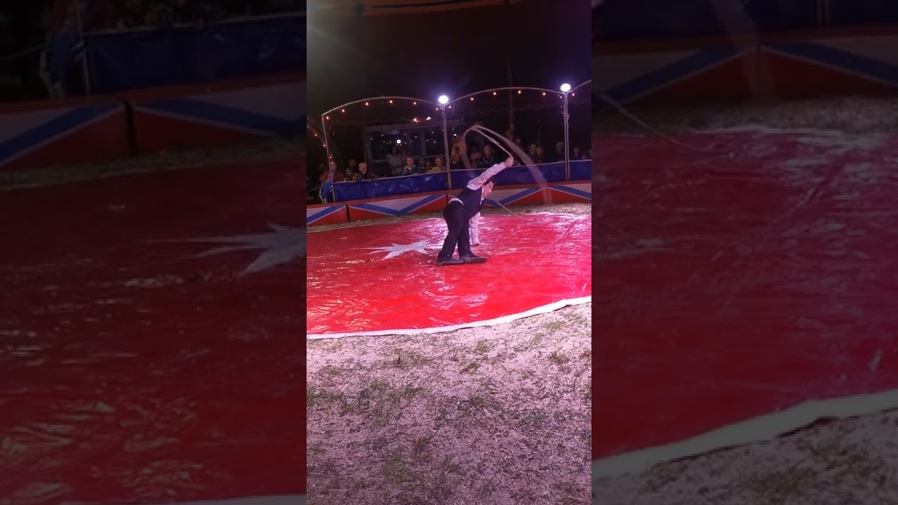 Zirkus penelli Micheldorf