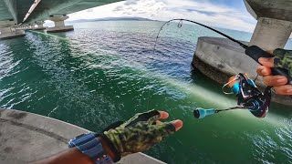 Download Lagu Rezeki Orang Baru Strike IKAN BESAR Bawah Jambatan!! MP3