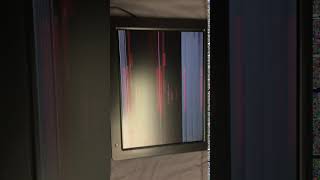 IMG 1384