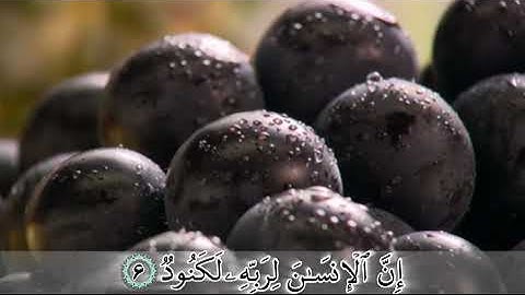 ترجمه تصویری سوره عادیات با صدای استاد بهروز رضوی