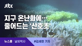 [날씨박사] 뼈만 남는 세계 최대 산호초…'지구 온난화' 탓 / JTBC 뉴스룸