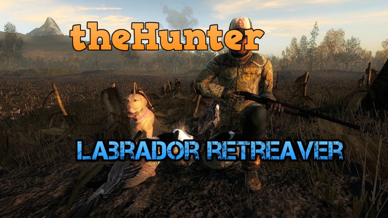 thehunter dogs