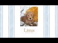 Linus's Temperament Evaluation