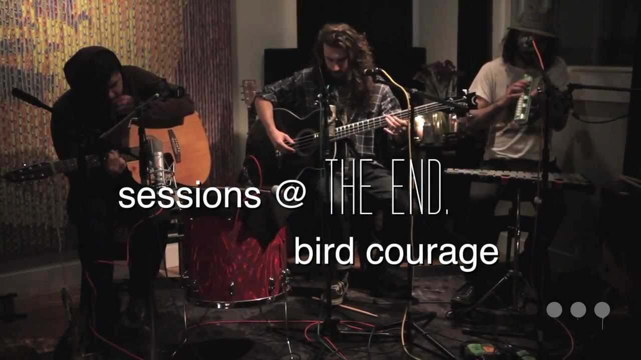 Sessions @ The End: Bird Courage — "Willow Tree"