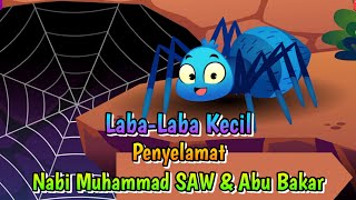 LABA LABA KECIL PENYELAMAT NABI MUHAMMAD SAW & ABU BAKAR | Kisah Orang Sholeh
