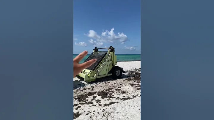 Tractor Cleaning Up Seaweed After A Huge Storm On The Beach! #beach #cleanup #shorts #Shortsvideo