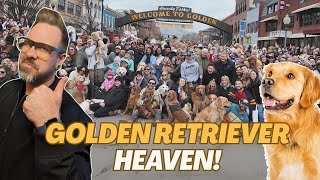 Goldens Take Over Colorado! | Inside the Fluffiest Event in Golden, CO