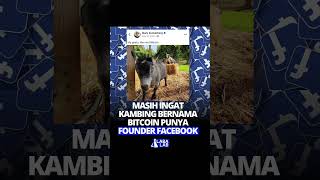 ada yang inget kambing "goat"nya  mark zukerberg? #labalab #crypto #analisabtc