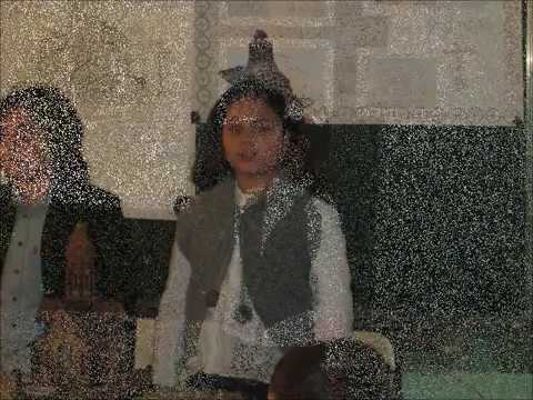 პროექტის პრეზენტაცია