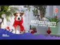LIVE with the Horticulturists: Gifts for the Gardener You Love + Holiday Decorations
