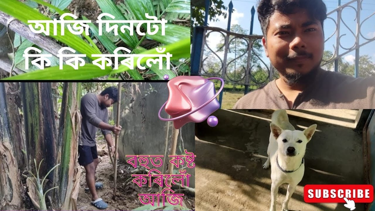 আজি দিনটো কি কি কৰিলোঁ // HK VLOG//