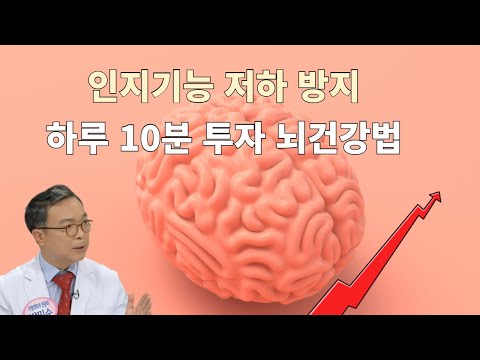 인지 기능 저하와 치매를 막으려면 뇌세포 연결을 다양화하는 이것에 하루 10분만 할애하라!