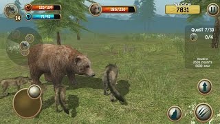 Wild Wolf Simulator 3D Android Gameplay #2 screenshot 4