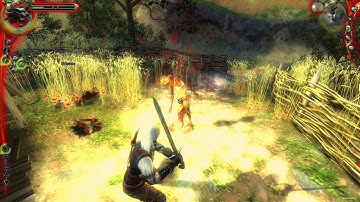 The Witcher : Enhanced Edition Walkthrough #65 Broken Mirror