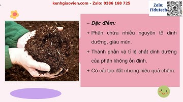 Giáo án powerpoint CĐ3 bài 7: Những loại phân bón thường..| GA điện tử Công nghệ 10 - CNTT cánh diều