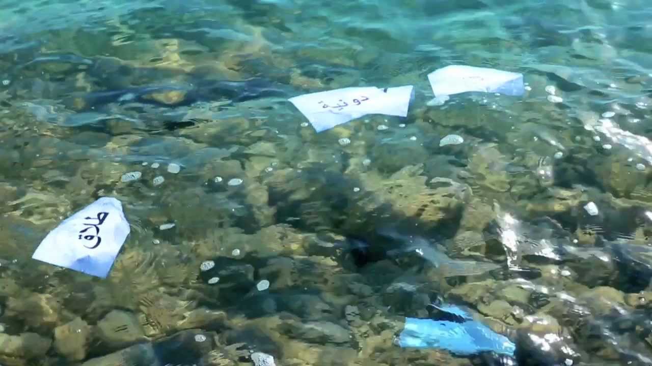 فيصل بن حمد | ملح الحياة | نسخة الإيقاع HD