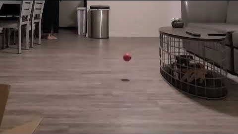 Ball Bouncing in Z Space Reference