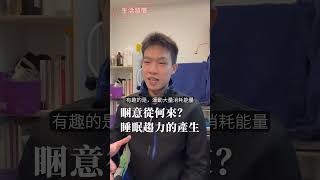 睏意從何而來？睡眠趨力的產生