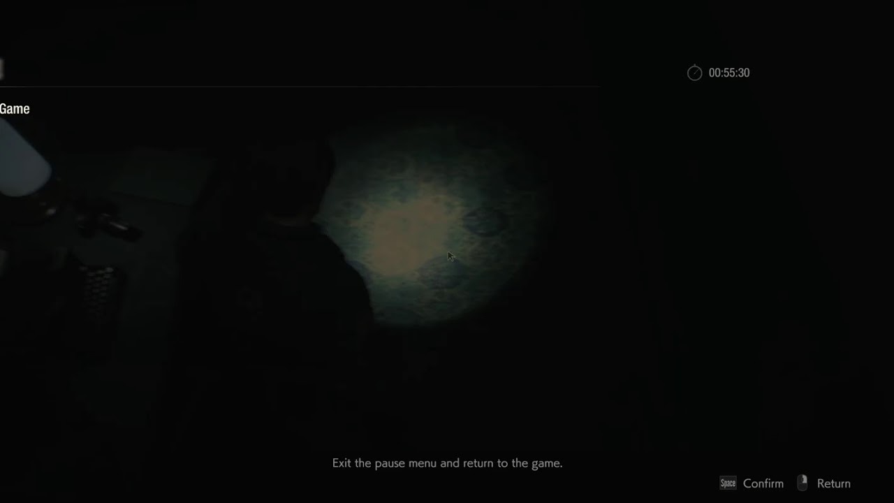 Resident Evil 2 on 2080ti, i9 9900kf and DELL 3420DW