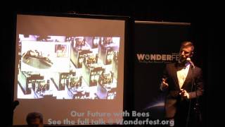 Bomb-Sniffing Bees - Wonderfest Science