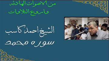 سورة محمد   الشيخ أحمد كاسب   1445 هـ