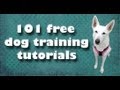 Free Dog Training Videos List- clicker dog training Free Dog Training Videos List- clicker dog training