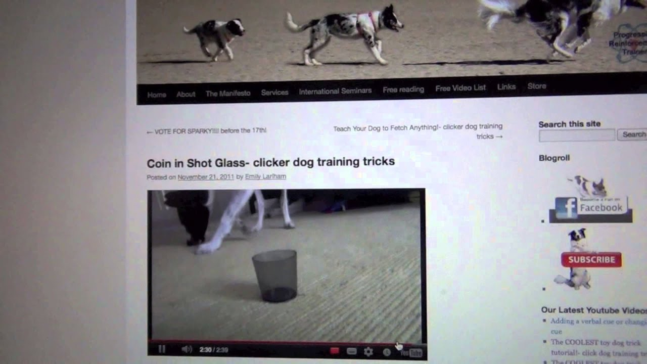 youtube clicker training