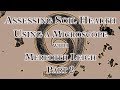 Assessing Soil Health Using a Microscope with Meredith Leigh Part 2