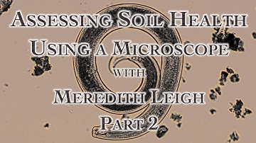 Assessing Soil Health Using a Microscope with Meredith Leigh Part 2
