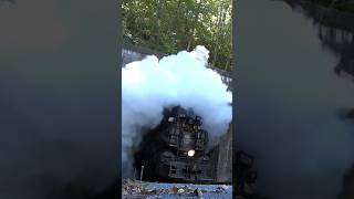 🚂 WM Steam Engine Smokes Out the Camera 🚂 🚂 WM Steam Engine Smokes Out the Camera 🚂