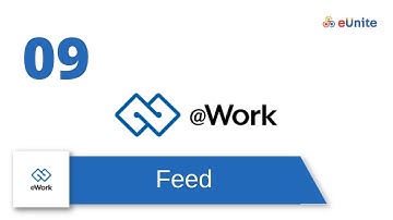 @Work App | Part 09:  User Feed