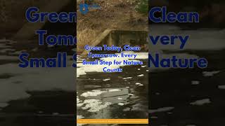 World Environment Day 2025| How You Can Make a Difference