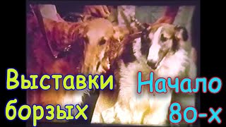 ВЫСТАВКИ БОРЗЫХ начала 80 х