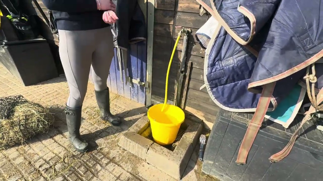 BTEC equine unit 6 assignment- water buckets