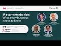 IP scams on the rise: What every business needs to know