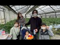 🐹🐹カンタファミリー👨‍👩‍👧‍👦👶のいちご狩り🥸長い版🔥