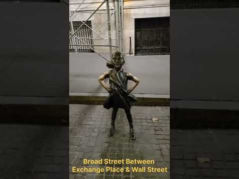 The Fearless Girl New York City Tourist Attraction Shorts Nyc Newyorkcity