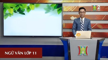 MÔN NGỮ VĂN - LỚP 11 | TÁC PHẨM: "TỪ ẤY" - TỐ HỮU | 17H10 NGÀY 01.04.2020 | HANOITV