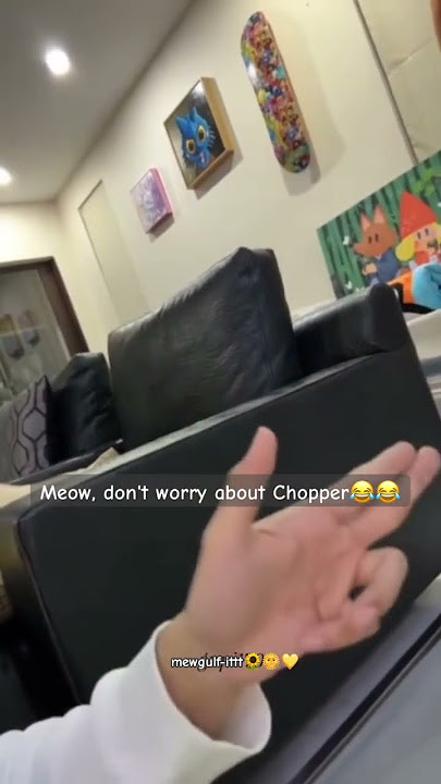 Meow, don't worry about Chopper#gulfkanawut #phiballs #mgpfg #shorts #funny