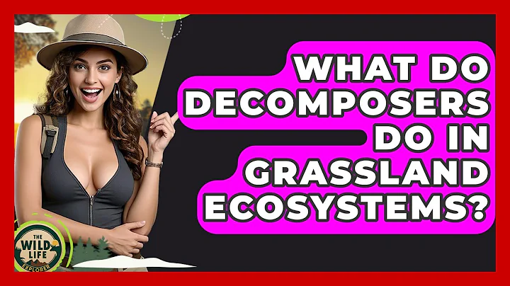 What Do Decomposers Do In Grassland Ecosystems? - The Wild Life Explorer