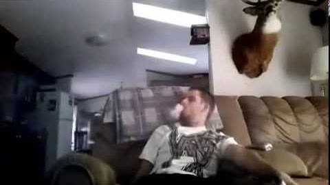 Buddha V2 in Action!