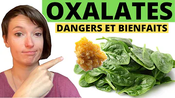 Quels sont les aliments riches en oxalate de calcium ?