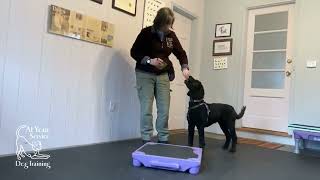 Paw Targeting - Foundation for Service Dog Tasks